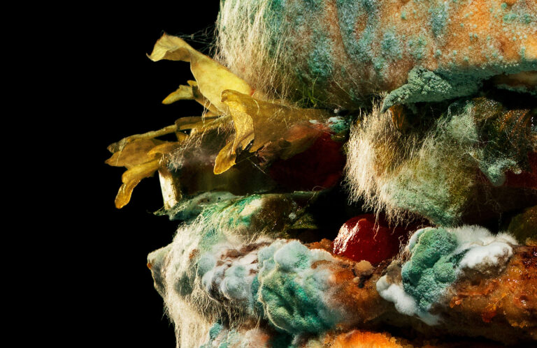 Moldy Whopper