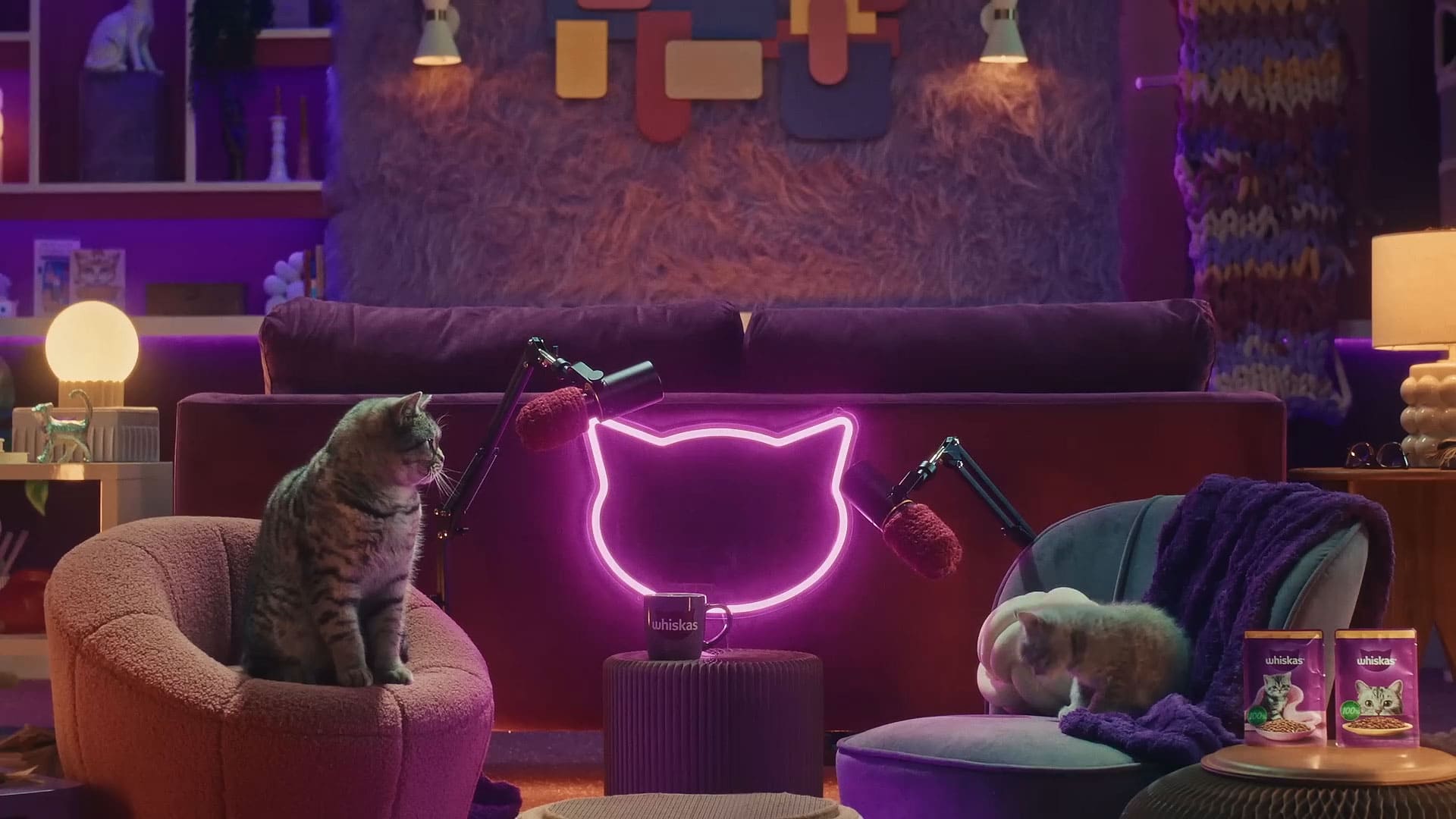 Dois gatinhos no Podcast da Whiskas - Purrcast