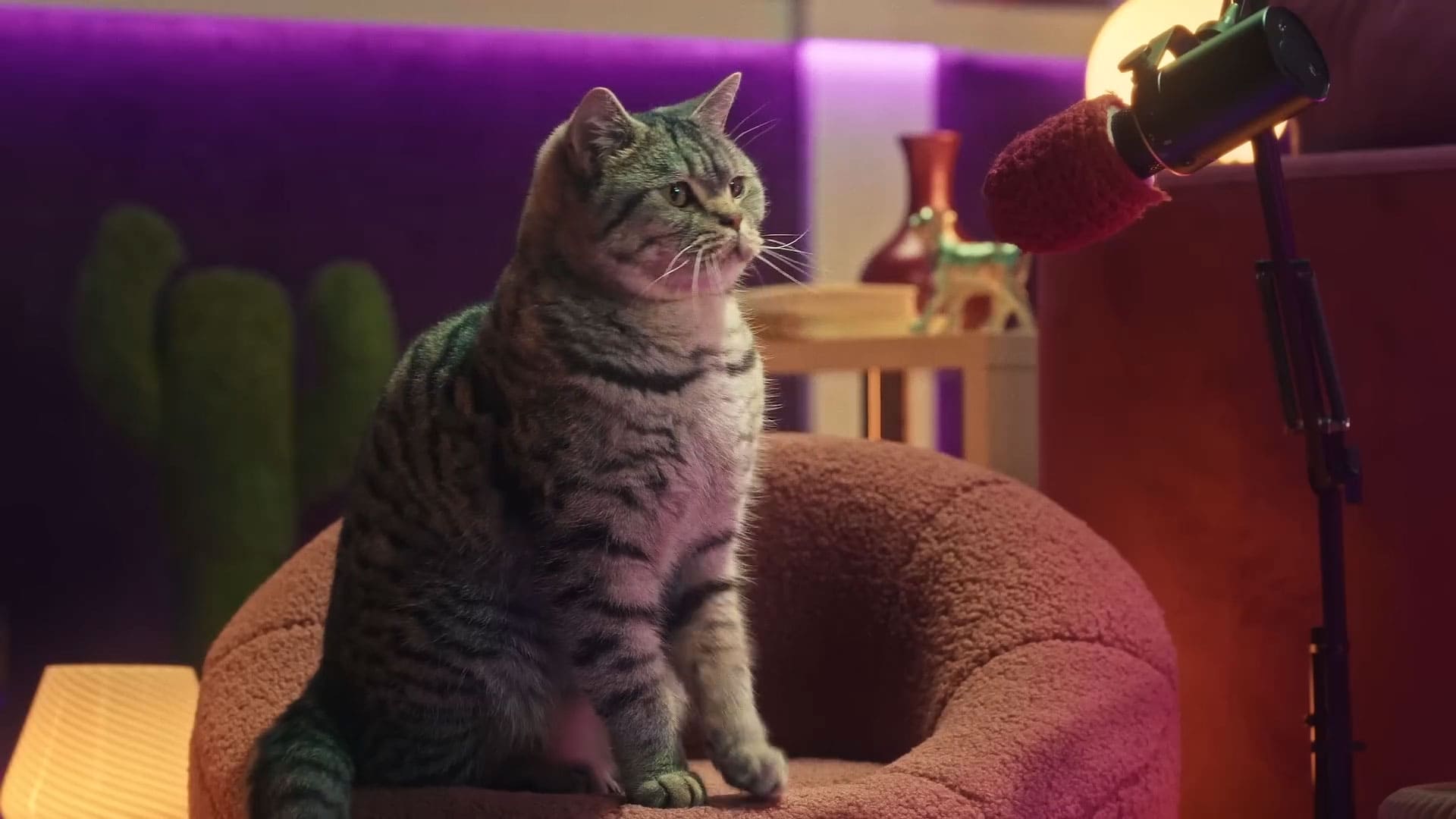 Gato no Podcast da Whiskas - Purrcast