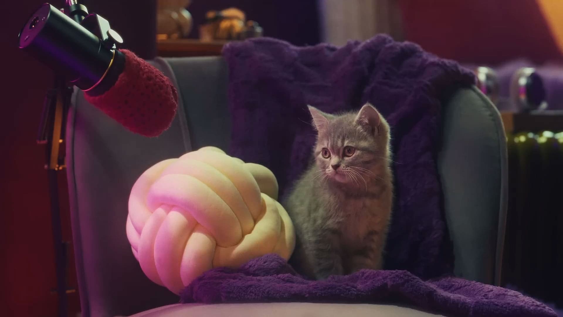 Podcast da Whiskas transforma tutoriais com Purrcast