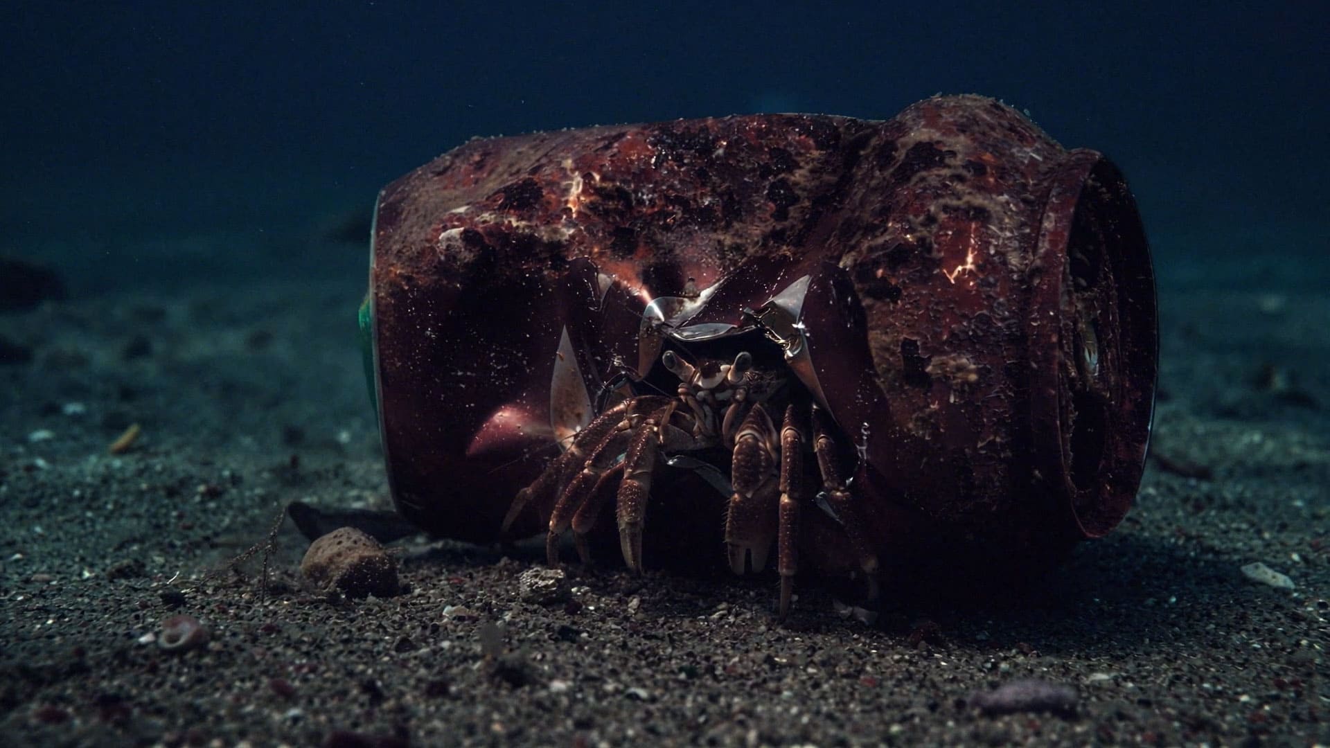 Fundo do mar - A Odisseia de Wilson