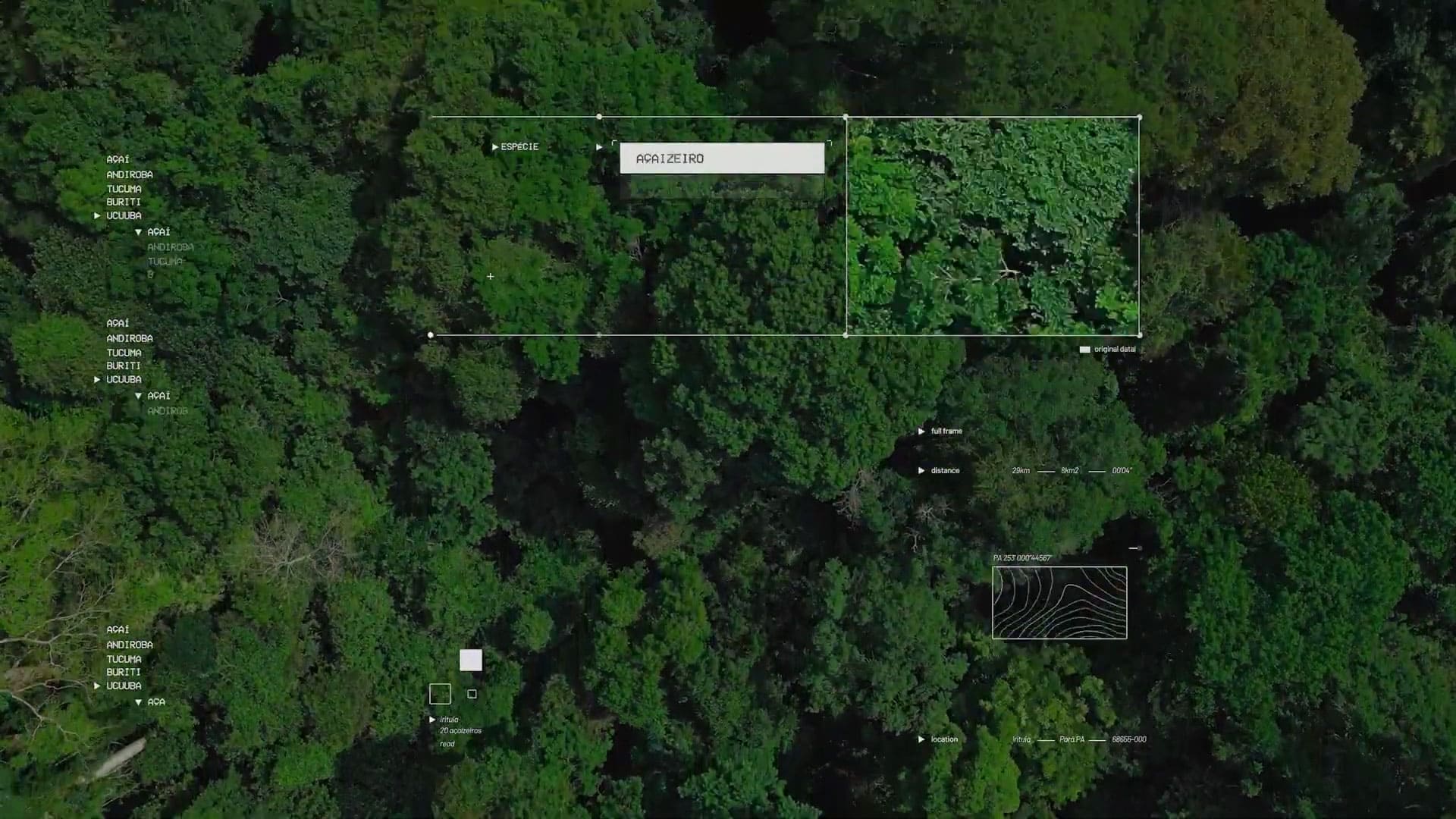 Estudo Natura The Amazon Greenventory