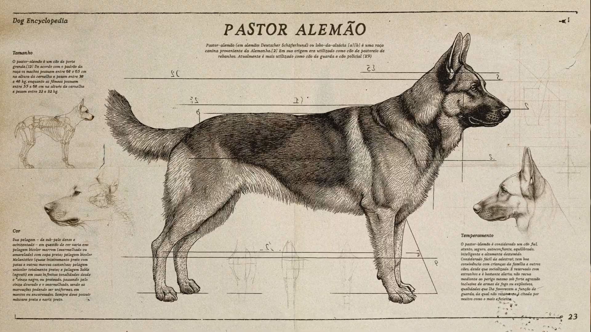 Pastor Alemão