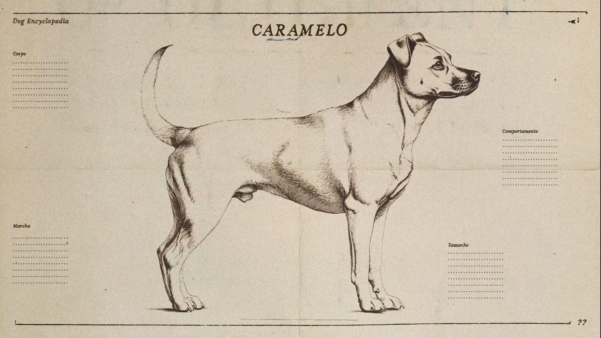 Cachocrro Caramelo