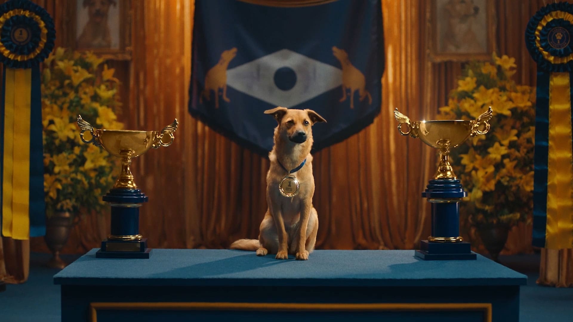 Pedigree Caramelo