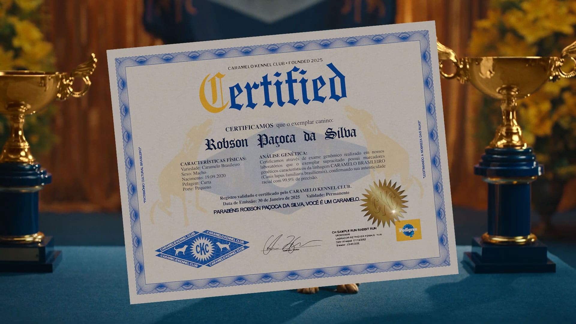Certificado Pedigree Caramelo