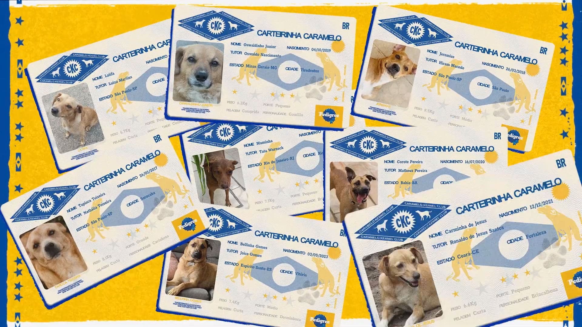 Carteirinha Pedigree Caramelo